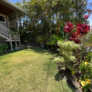 Private Ohana On The Lush Hamakua Coast With Ac Guest house